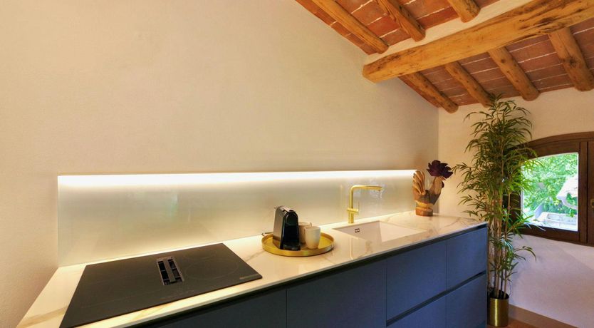 Photo of Grapes & Olives