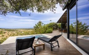 Photo of Noto Nocturne