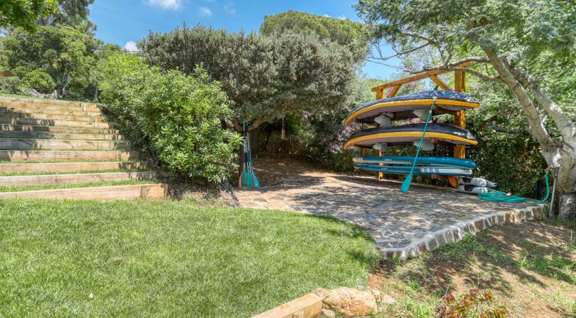 Photo of Picturesque Dreams