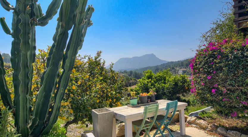 Photo of Sunburst Sunrise