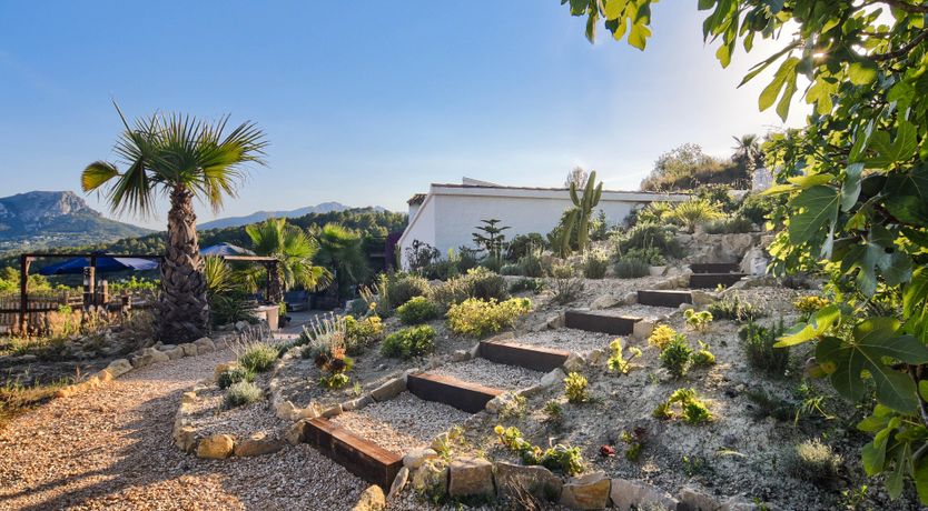 Photo of Sunburst Sunrise