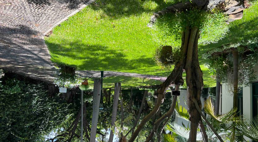 Photo of Scenic Village