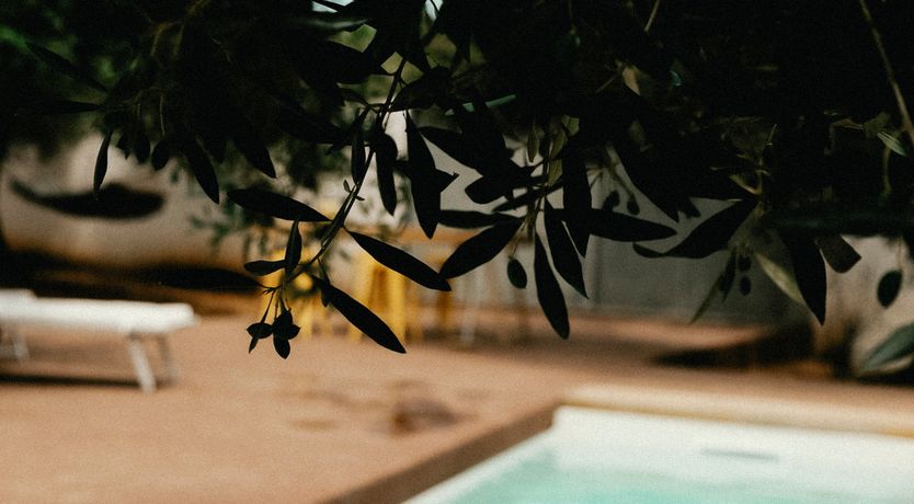 Photo of Italian Charisma