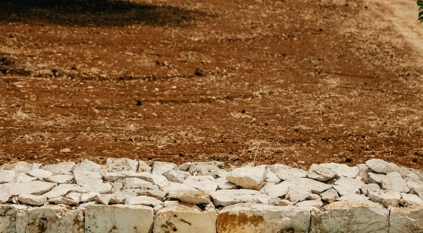 Photo of Italian Charisma