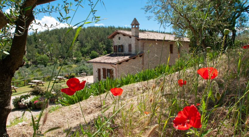 Photo of Verdant Village