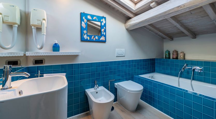 Photo of The Olive Farm