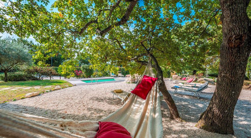 Photo of The Olive Farm