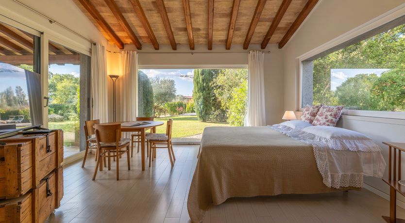 Photo of The Olive Farm