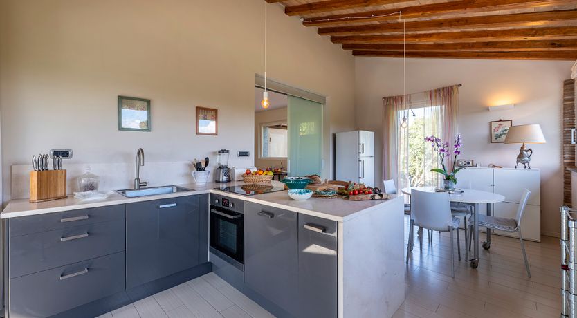 Photo of The Olive Farm