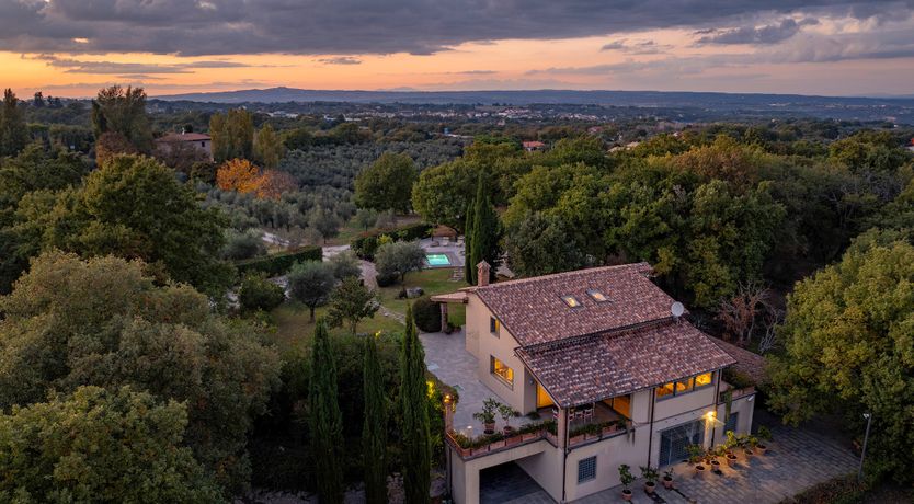 Photo of The Olive Farm