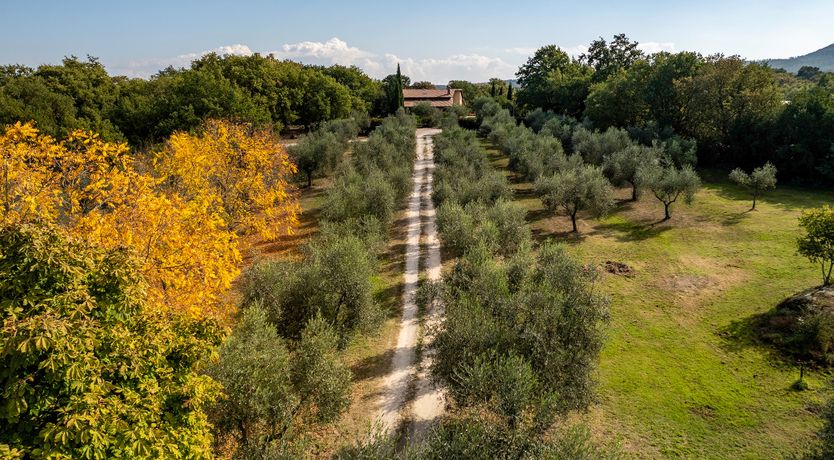 Photo of The Olive Farm