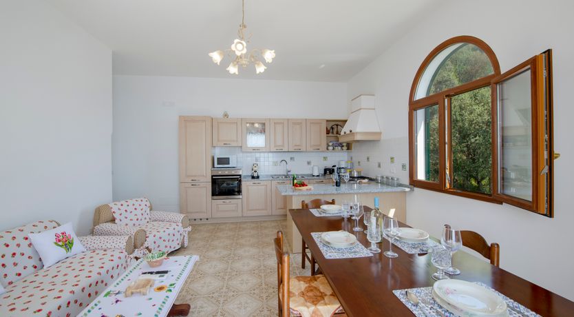 Photo of Citrus & Crimson