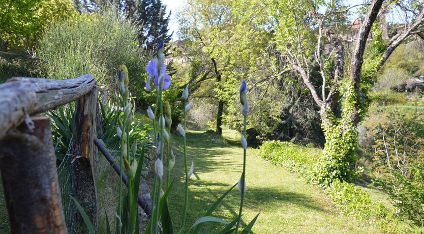 Photo of The Umbrian Lifestyle