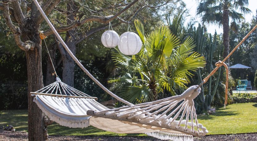 Photo of Soulful Sunshine