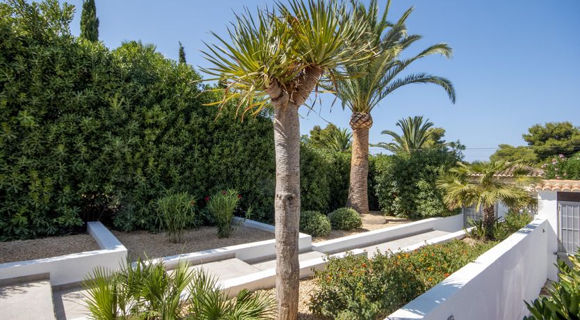 Photo of Spanish Sentiment