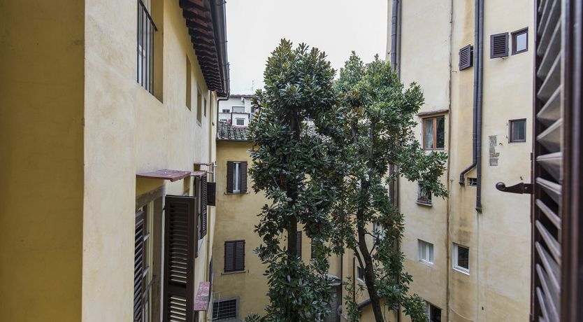 Photo of Noble Florals