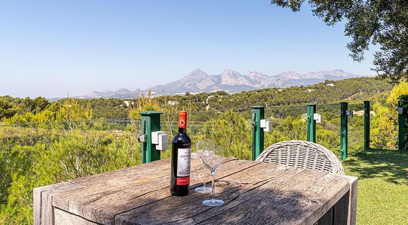 Photo of Swimming in the Shade