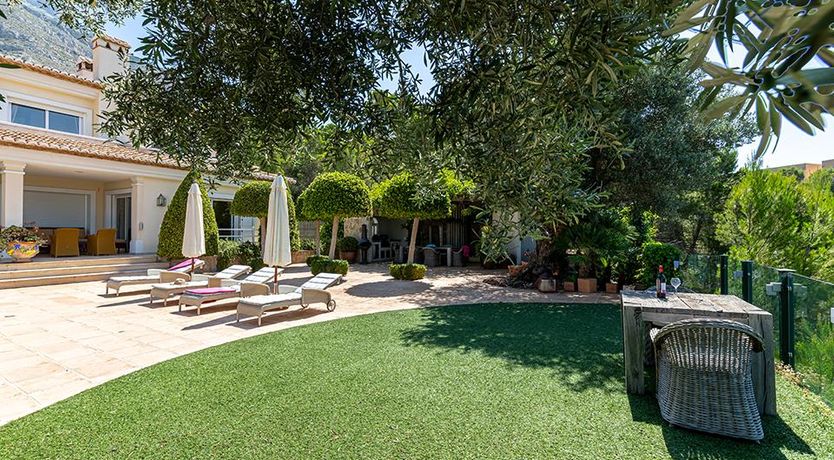 Photo of Swimming in the Shade