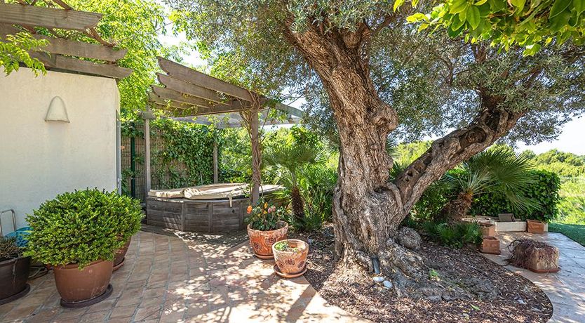 Photo of Swimming in the Shade