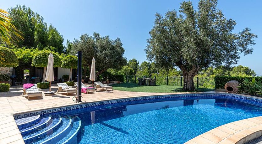 Photo of Swimming in the Shade