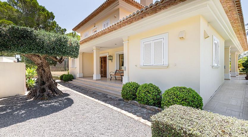 Photo of Swimming in the Shade