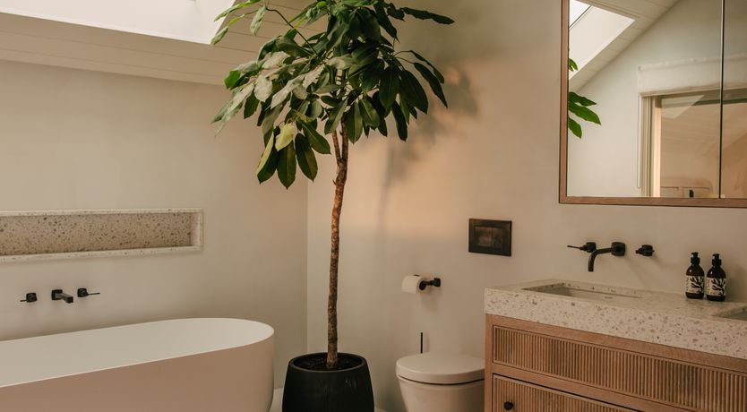 Photo of The Journey Within