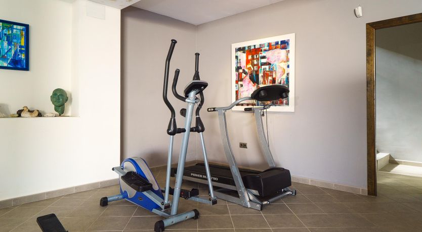 Photo of Views Of The Elephant