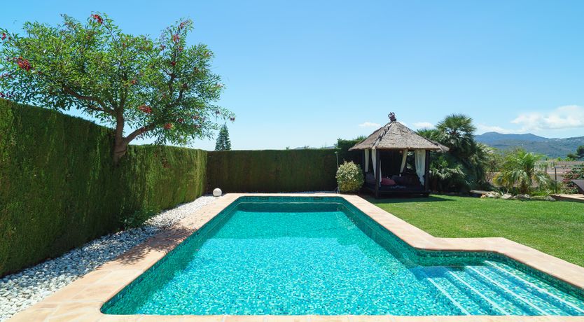 Photo of Views Of The Elephant