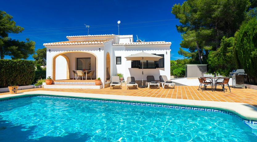 Photo of Tangerine Summer