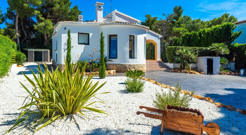 Photo of Tangerine Summer