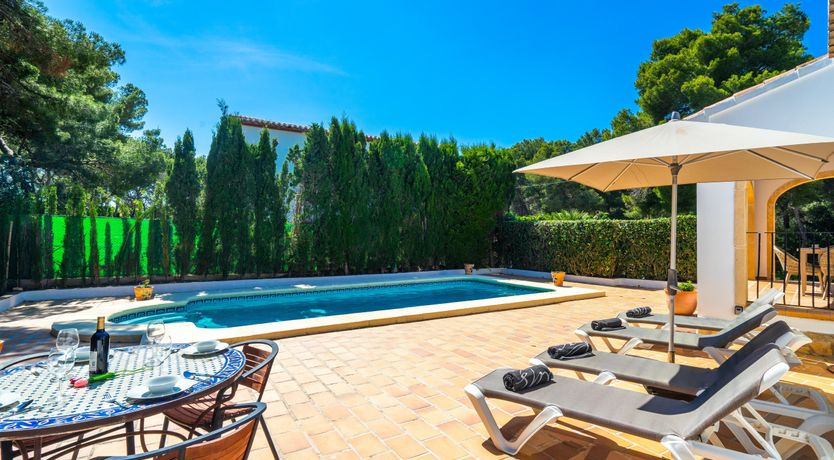 Photo of Tangerine Summer