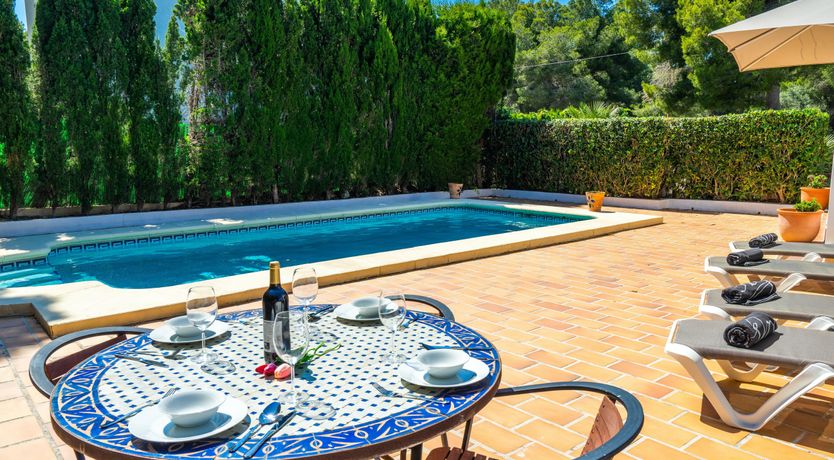 Photo of Tangerine Summer