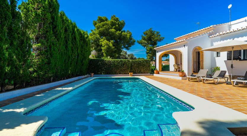 Photo of Tangerine Summer