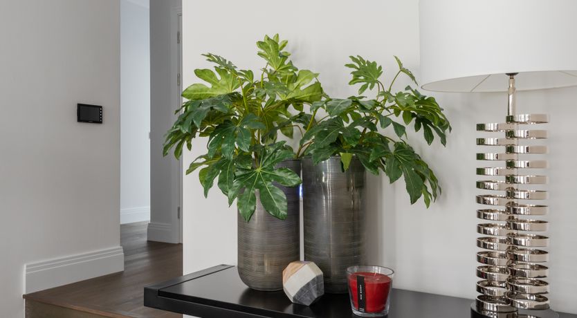 Photo of Silver Chance