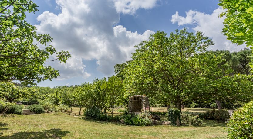 Photo of Champagne & Roses