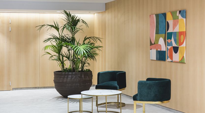 Photo of The Blue Diamond