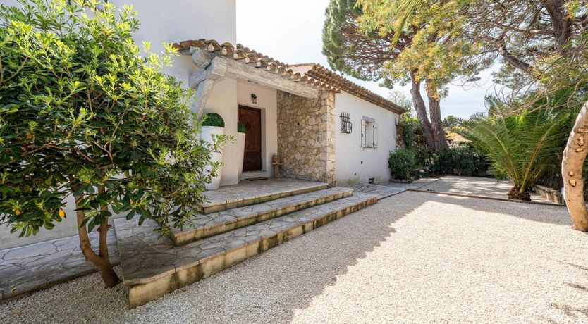 Photo of The Art of Wellness