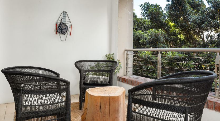 Photo of Reminiscent of a Rainforest