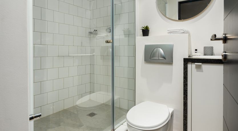 Photo of Reminiscent of a Rainforest