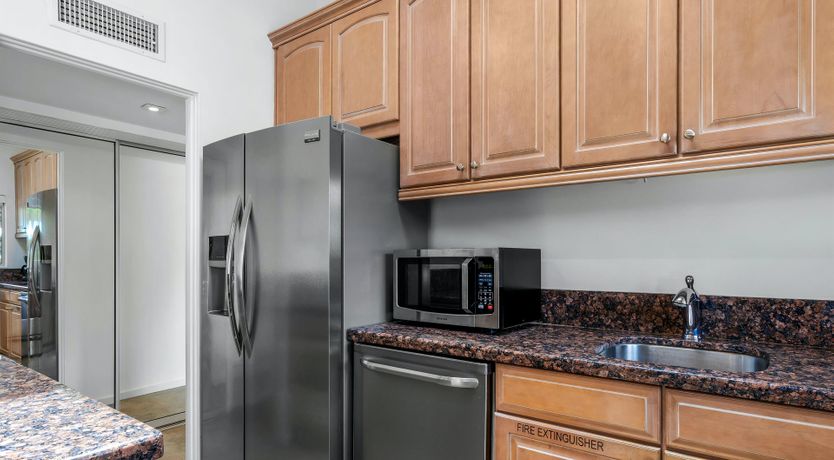 Photo of Palm Tree Dreams