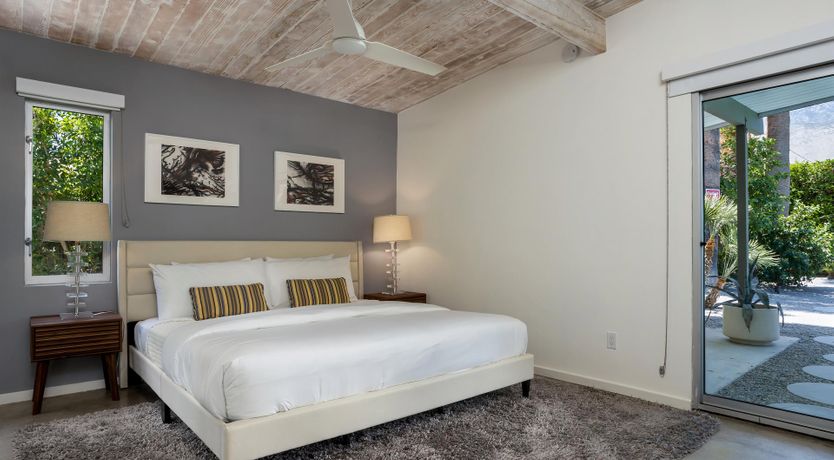 Photo of Palm Tree Dreams