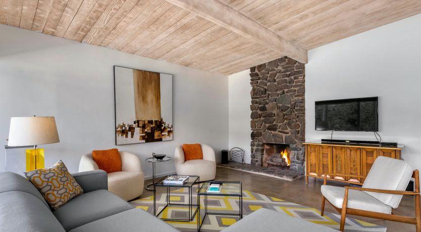 Photo of Palm Tree Dreams