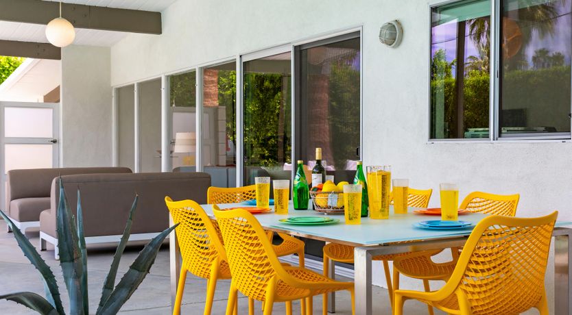 Photo of Palm Tree Dreams