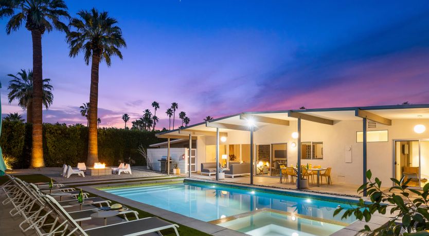 Photo of Palm Tree Dreams