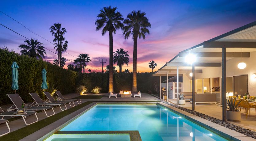 Photo of Palm Tree Dreams