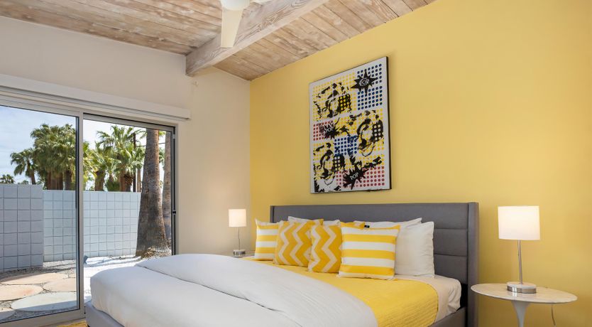 Photo of Palm Tree Dreams