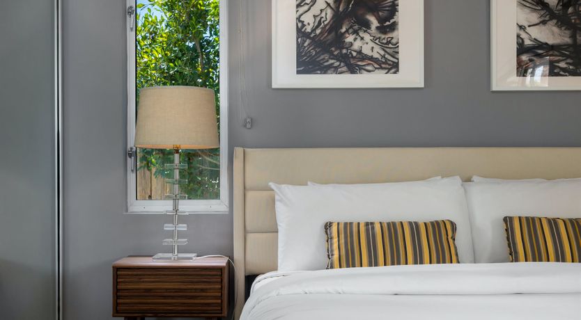 Photo of Palm Tree Dreams