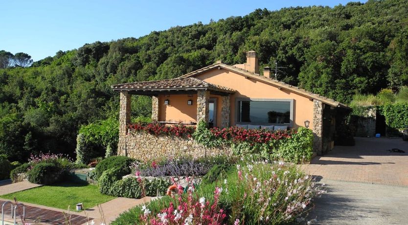 Photo of Vineyards & Olive Groves