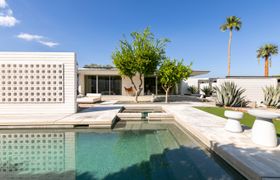 Photo of golden-zenith