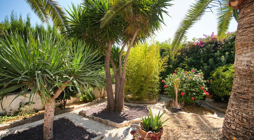 Photo of The Spanish Breeze